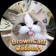BrownCatt